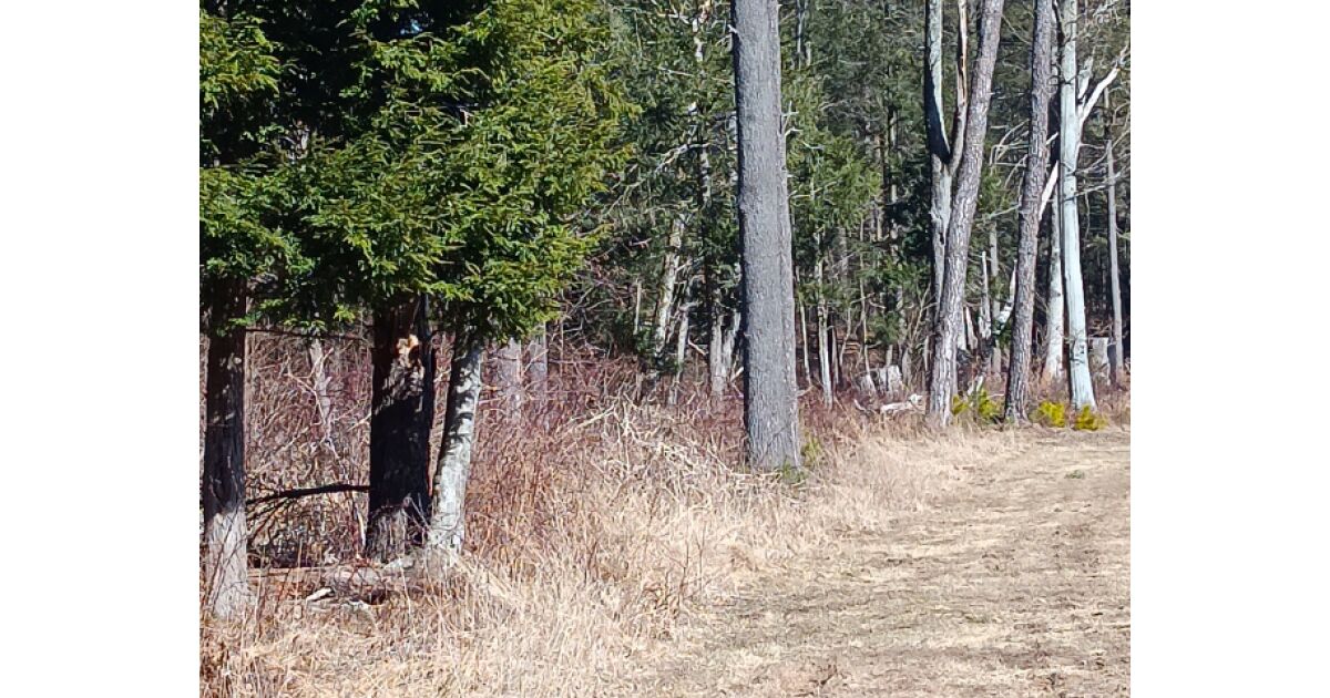 Underground Takes Stage as Marbletown Board Discusses Pipes, Archaeology